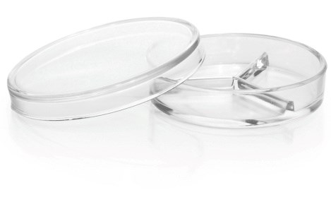 Picture of DURAN® Petri Dishes, Sectioned, Ø 100 x 20 mm, Borosilicate Glass