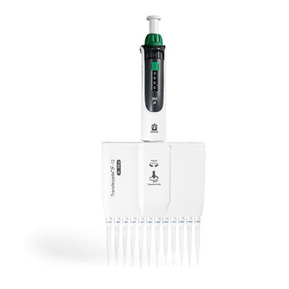 Picture of Transferpette S Mechanical Pipettes, 12-Channel